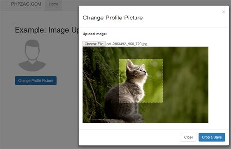 php crop image|how to crop a picture.